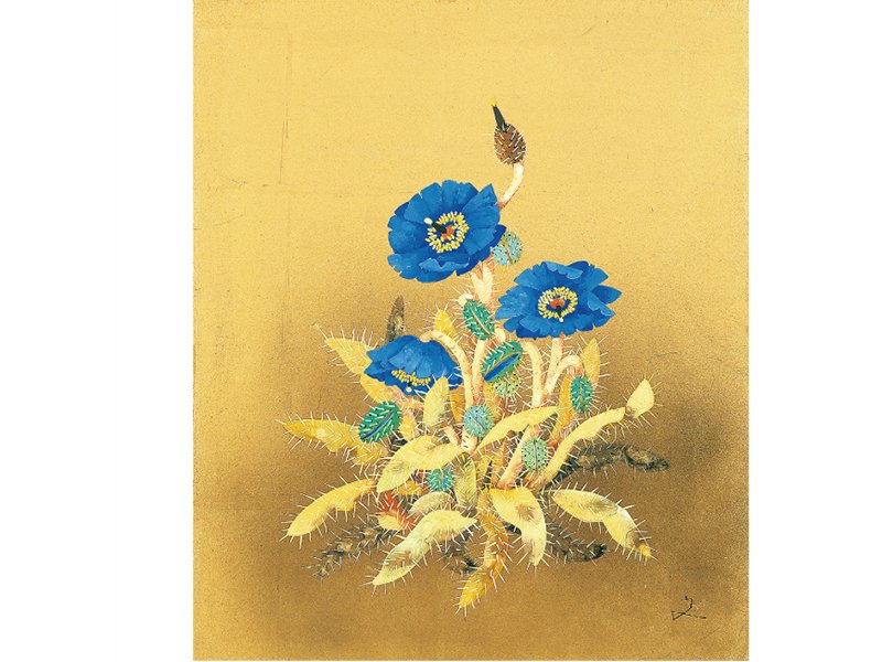 🏛️ 사노 미술관 (Sano Art Museum) 이미지 5